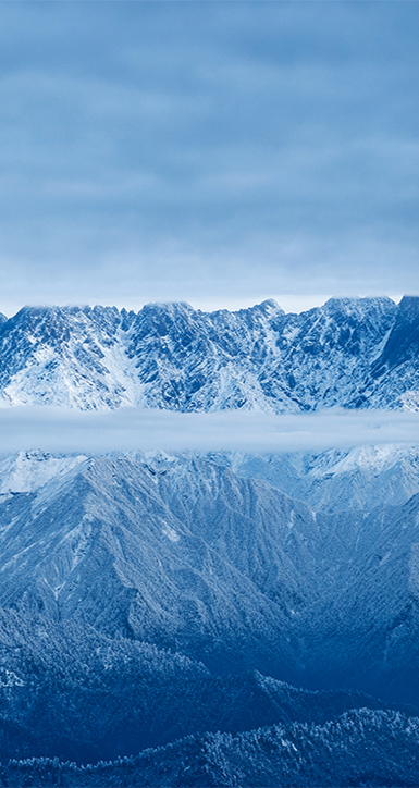 关于抖圈- 为du而生