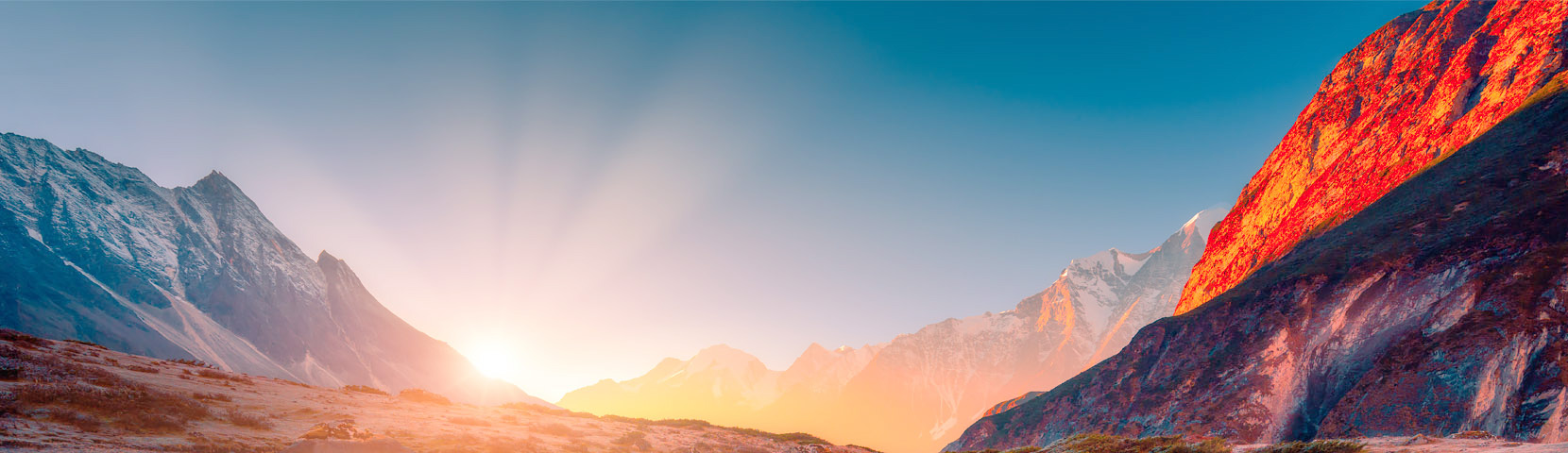 关于抖圈- 为du而生